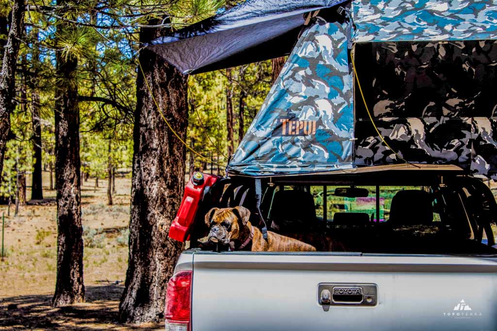 07-big-bear-serrano-campground-california-overland-topoterra-rentals-1024x683